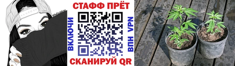 Как найти наркотики Новое Девяткино Бошки Шишки Меф мяу мяу АМФ ГАШ Cocaine