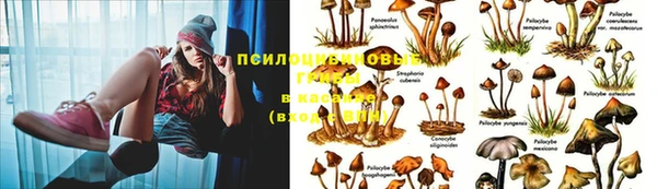 круглые Мегион