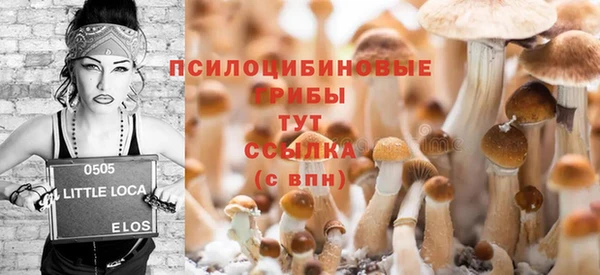 скорость Медвежьегорск