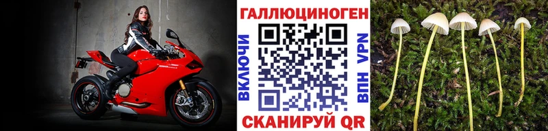 blacksprut ССЫЛКА  Новое Девяткино  Галлюциногенные грибы Psilocybine cubensis  цены наркотик 
